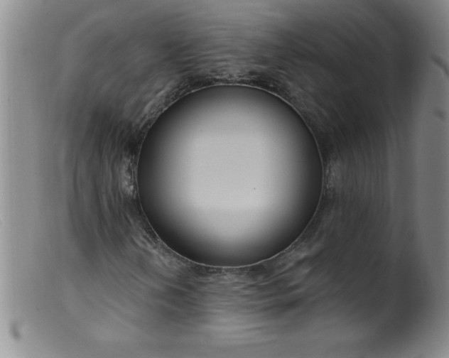 X0000099481202200805231847