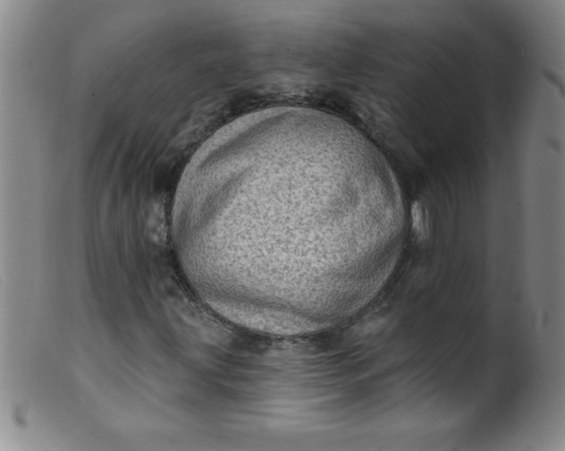 X0000099481203200805231847