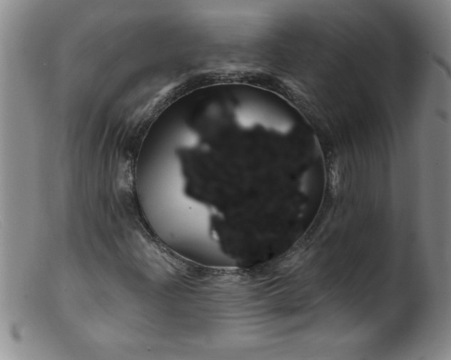 X0000099481204200805231847