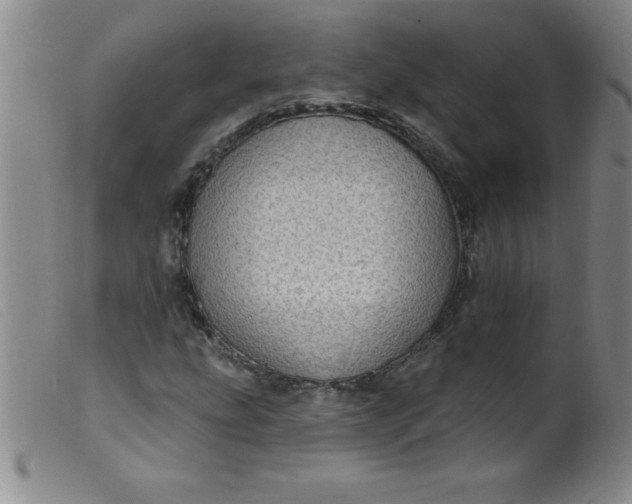 X0000099481207200805231847