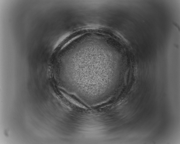 X0000099481208200805231847