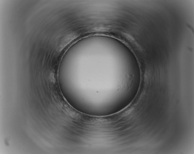 X0000099481209200805231847