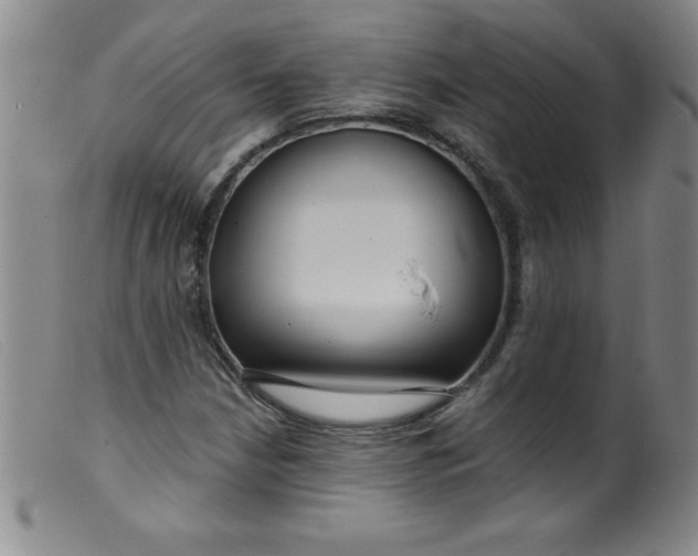 X0000099481210200805231847