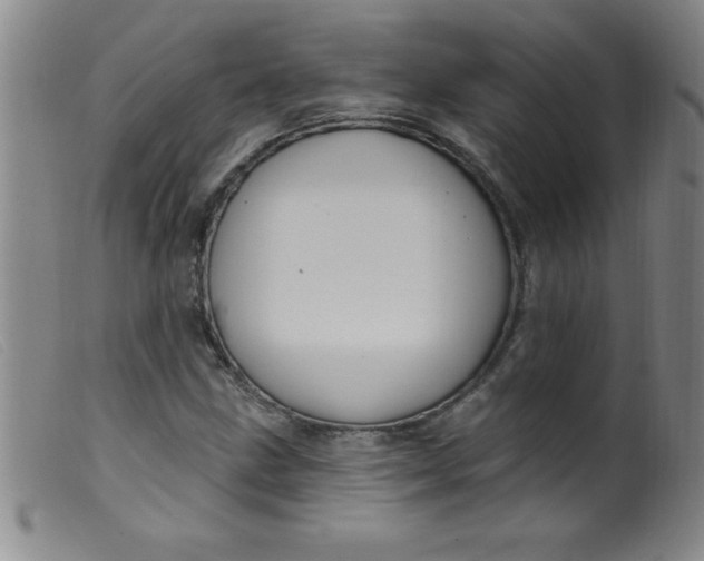 X0000099481211200805231847