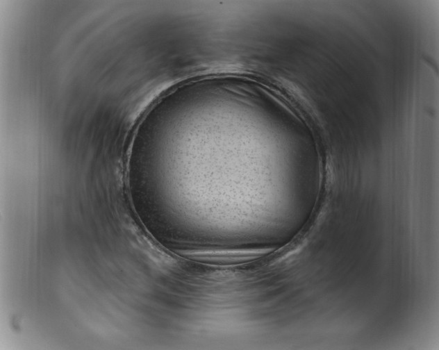 X0000099481212200805231847