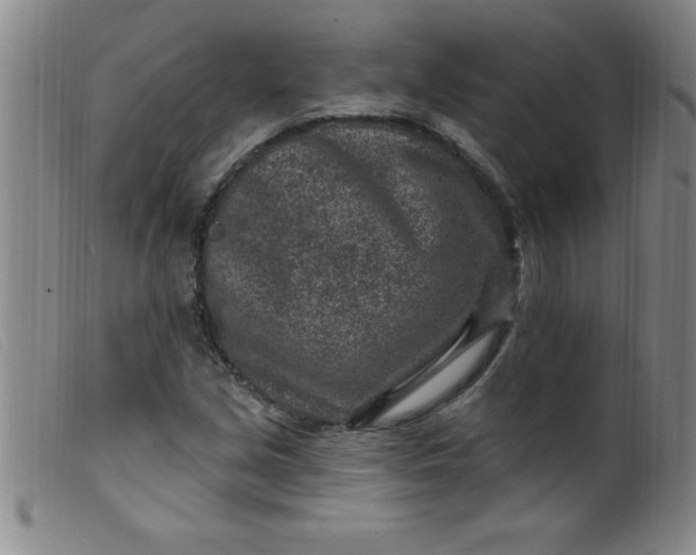 X0000099481213200805231847
