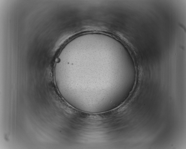 X0000099481215200805231847