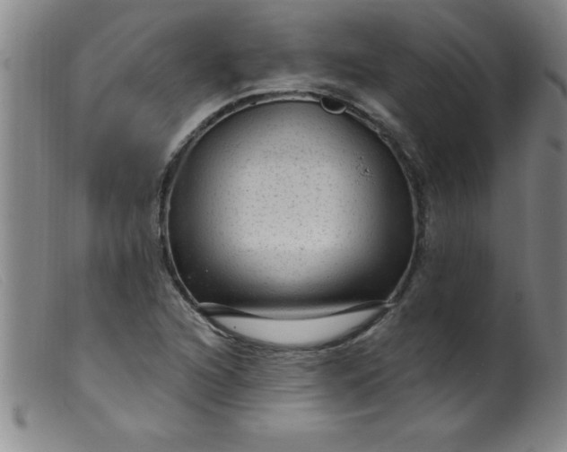 X0000099481216200805231847