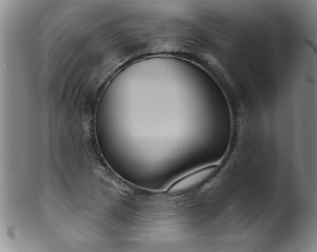X0000099481217200805231847
