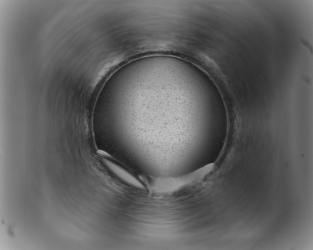X0000099481218200805231847