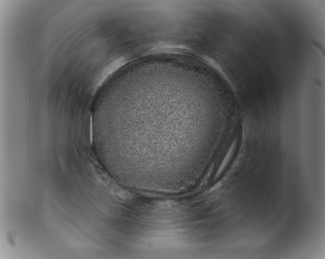 X0000099481219200805231847