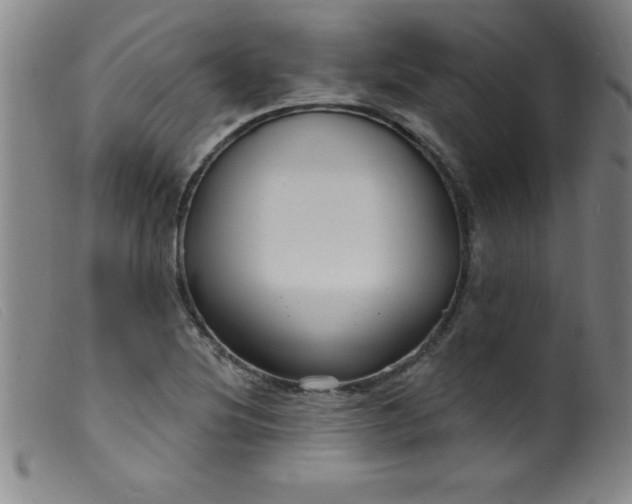 X0000099481220200805231847