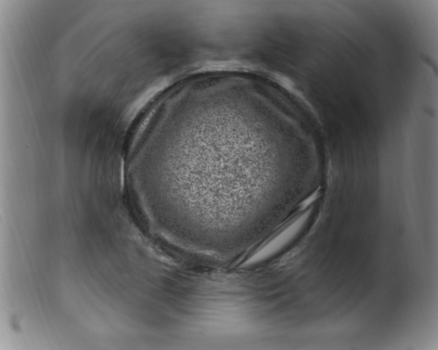X0000099481221200805231847