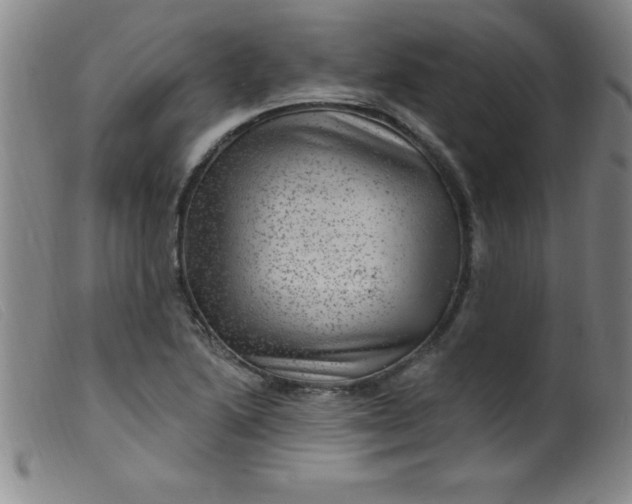X0000099481222200805231847