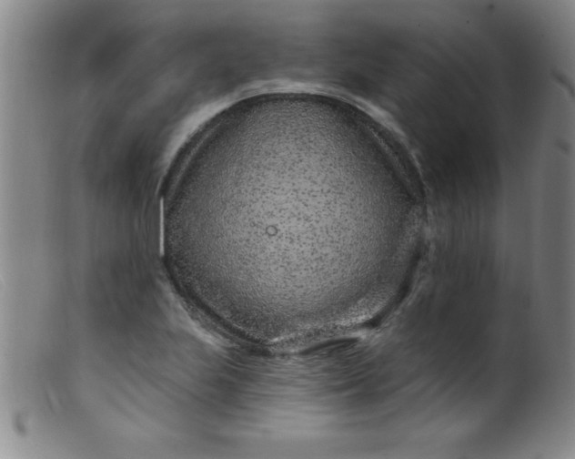 X0000099481223200805231847