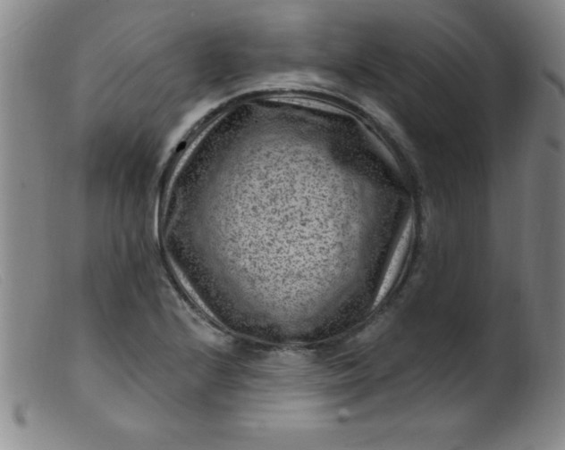 X0000099481224200805231847