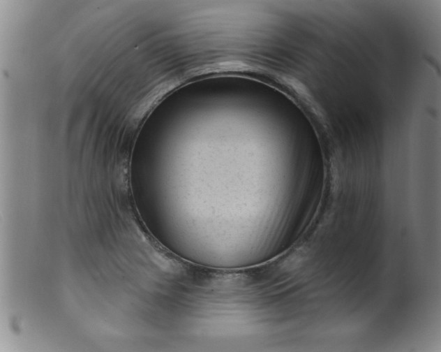 X0000099481225200805231847