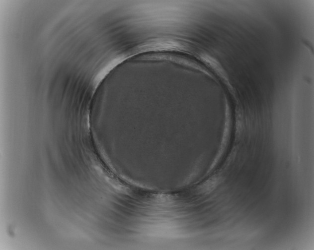 X0000099481226200805231847