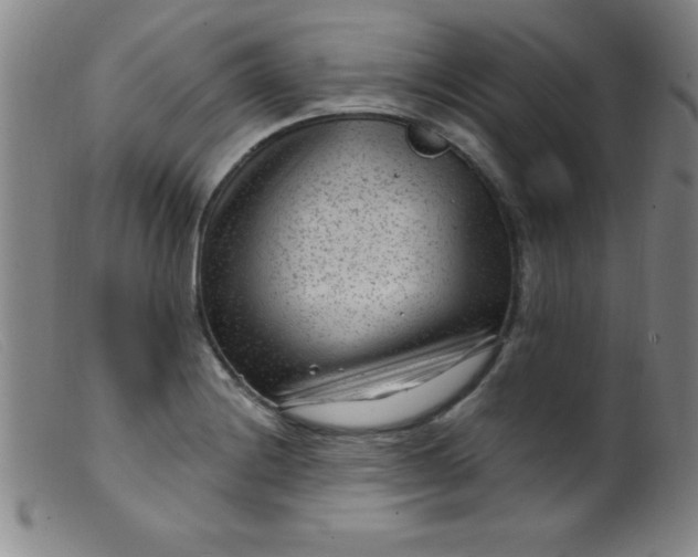 X0000099481228200805231847