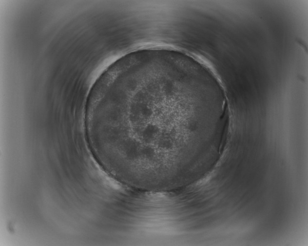X0000099481231200805231847