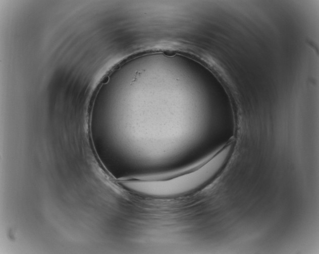 X0000099481232200805231847