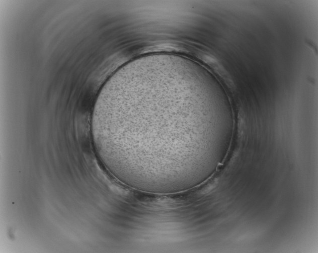 X0000099481233200805231847