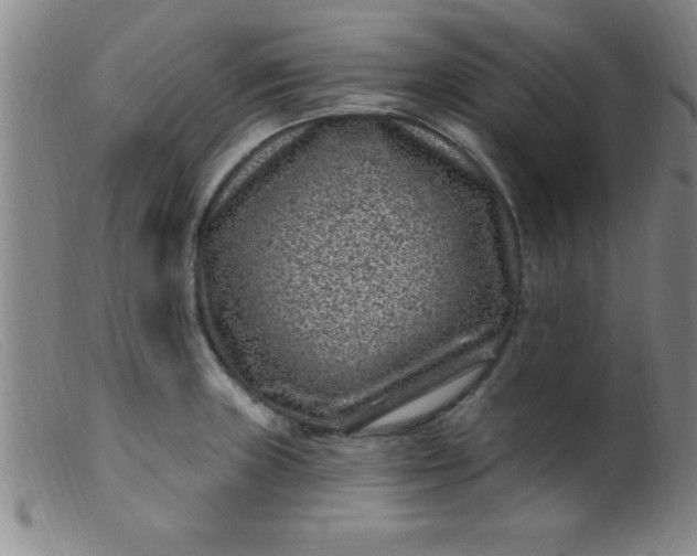 X0000099481235200805231847