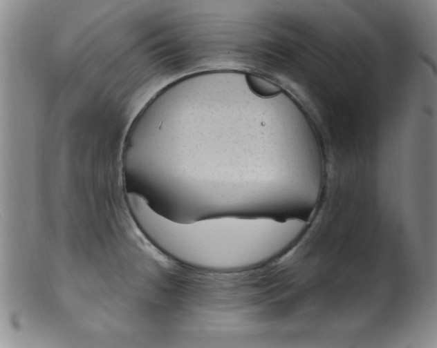 X0000099481236200805231847