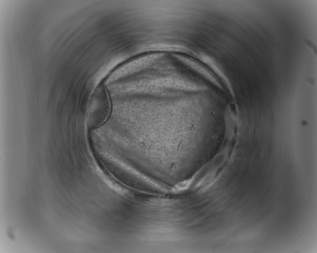 X0000099481237200805231847