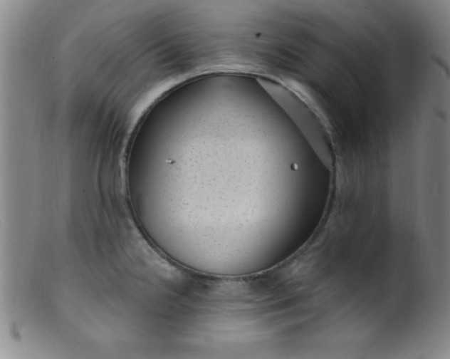 X0000099481238200805231847