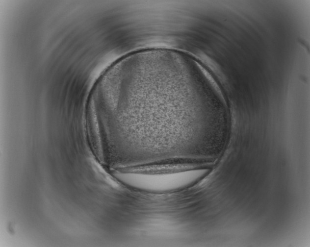 X0000099481240200805231847