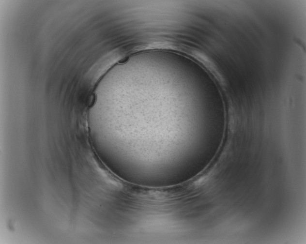 X0000099481241200805231847