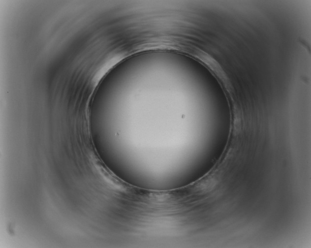 X0000099481242200805231847