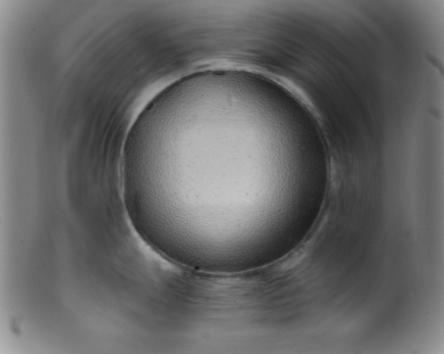 X0000099481247200805231847