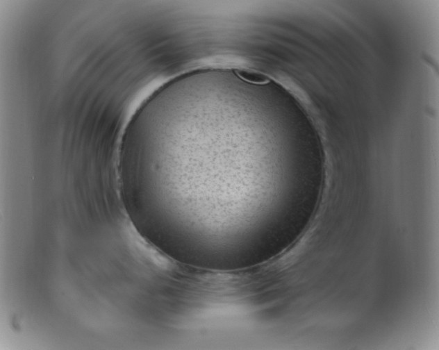 X0000099481248200805231847