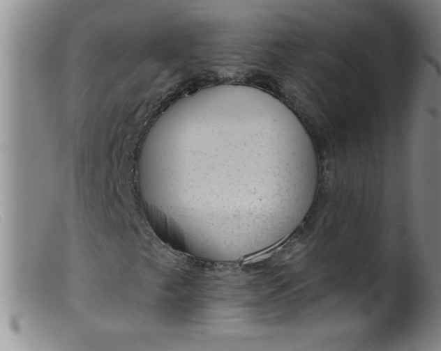 X0000099481249200805231847