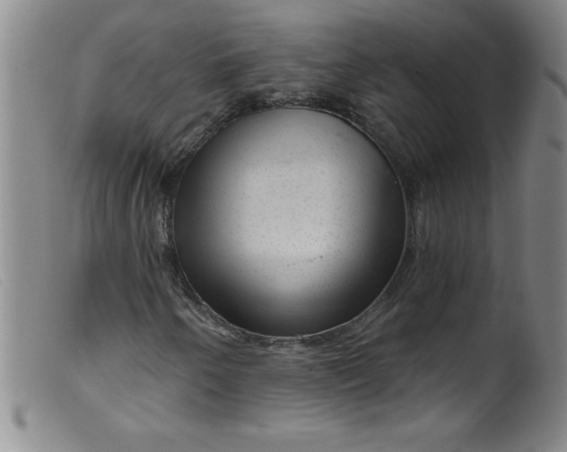 X0000099481250200805231847