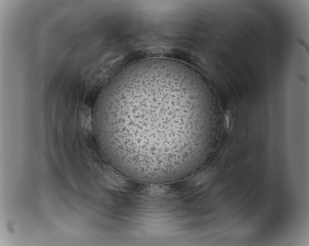 X0000099481251200805231847