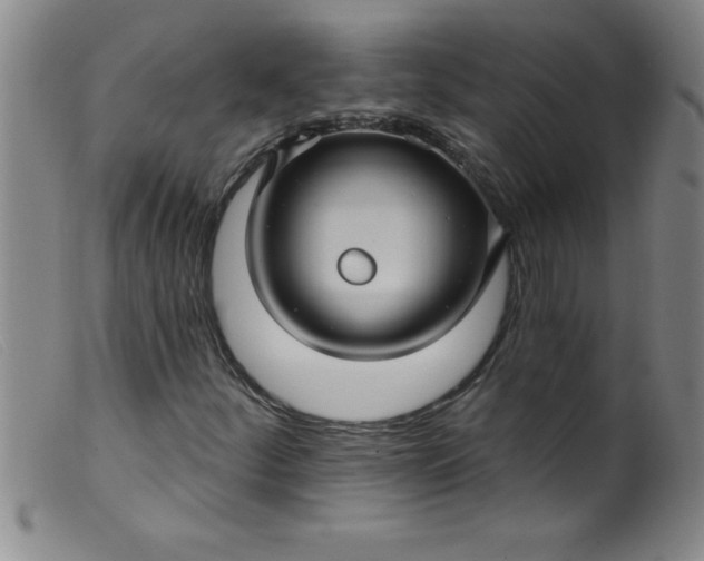 X0000099481252200805231847