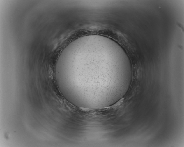 X0000099481253200805231847