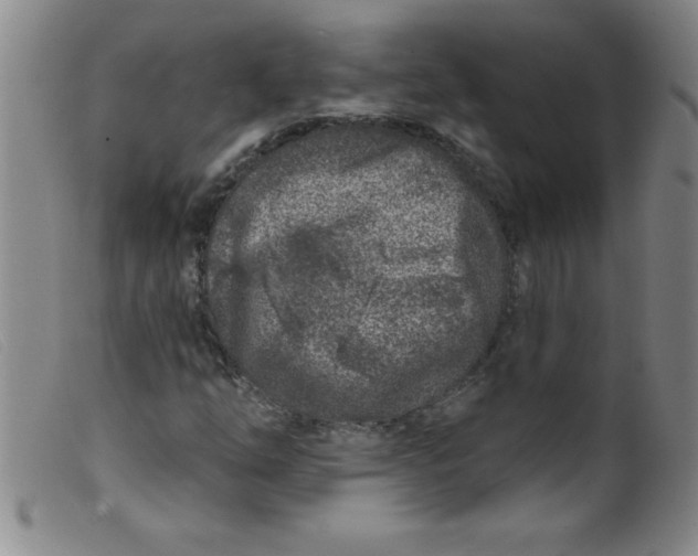 X0000099481254200805231847