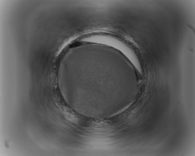X0000099481256200805231846