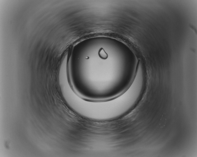X0000099481257200805231846