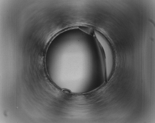 X0000099481260200805231846