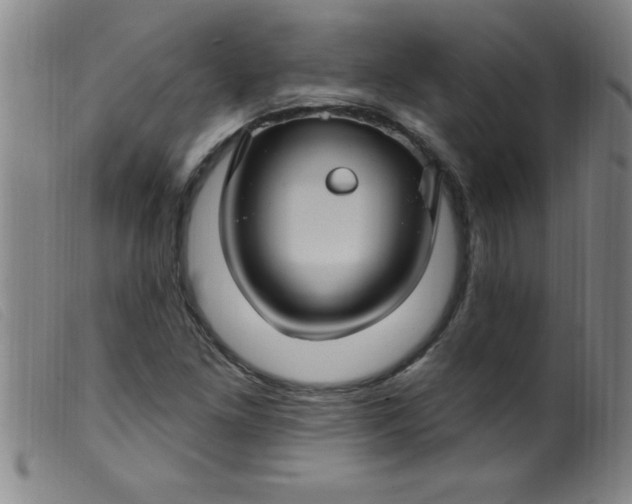 X0000099481261200805231846