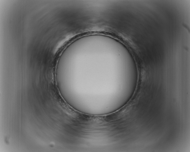 X0000099481262200805231846