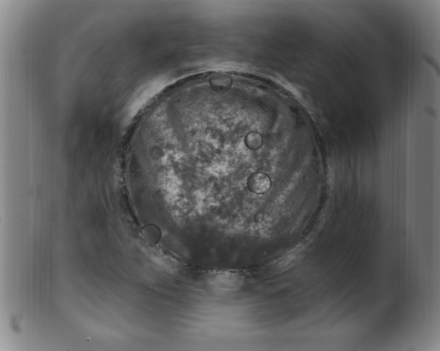 X0000099481263200805231846