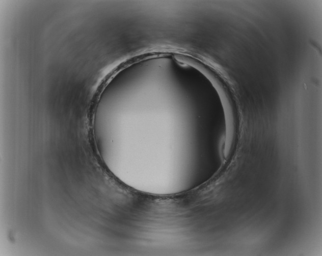 X0000099481264200805231846