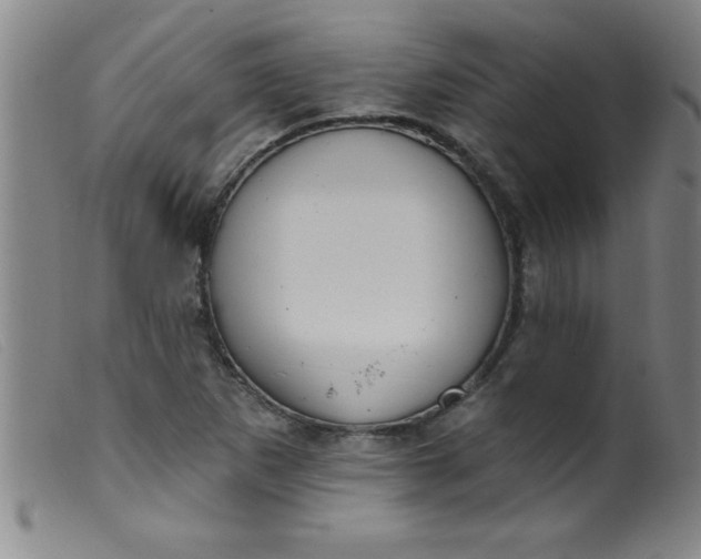 X0000099481265200805231846
