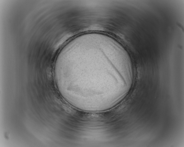 X0000099481266200805231846